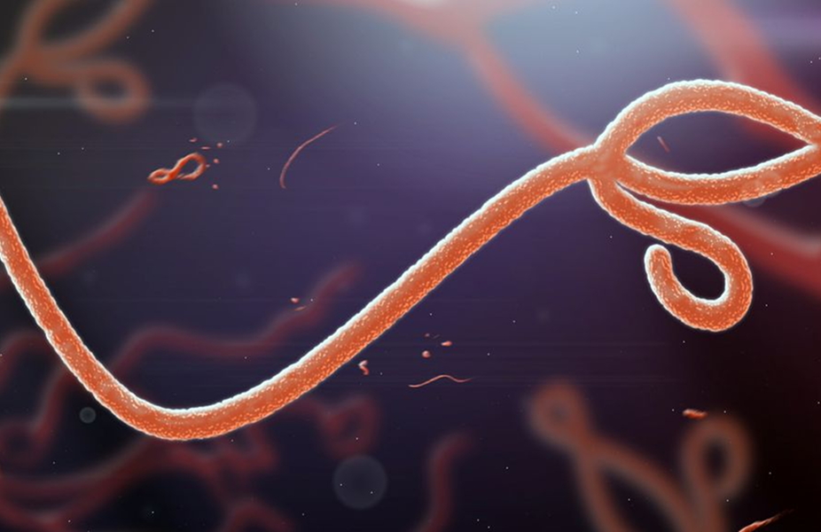 ebola_featured_TruthForHealth