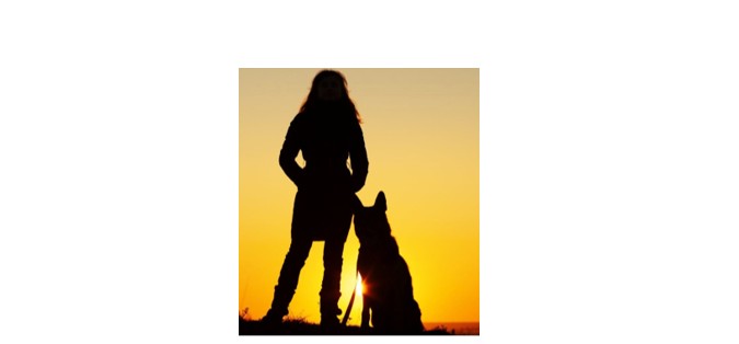 PROGRAM DESCRIPTION: Victims to Vikings